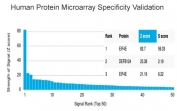 Analysis of HuProt(TM) microarray containing more than 19,000 full-length human proteins using Eukaryotic translation initiation factor 4E antibody (clone PCRP-EIF4E-1D3). These results demonstrate the foremost specificity of the PCRP-EIF4E-1D3 mAb. Z- and S- score: The Z-score represents the strength of a signal that an antibody (in combination with a fluorescently-tagged anti-IgG secondary Ab) produces when binding to a particular protein on the HuProt(TM) array. Z-scores are described in units of standard deviations (SD's) above the mean value of all signals generated on that array. If the targets on the HuProt(TM) are arranged in descending order of the Z-score, the S-score is the difference (also in units of SD's) between the Z-scores. The S-score therefore represents the relative target specificity of an Ab to its intended target.