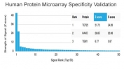 Analysis of HuProt(TM) microarray containing more than 19,000 full-length human proteins using TCF-25 antibody (clone PCRP-TCF25-1A11). These results demonstrate the foremost specificity of the PCRP-TCF25-1A11 mAb. Z- and S- score: The Z-score represents the strength of a signal that an antibody (in combination with a fluorescently-tagged anti-IgG secondary Ab) produces when binding to a particular protein on the HuProt(TM) array. Z-scores are described in units of standard deviations (SD's) above the mean value of all signals generated on that array. If the targets on the HuProt(TM) are arranged in descending order of the Z-score, the S-score is the difference (also in units of SD's) between the Z-scores. The S-score therefore represents the relative target specificity of an Ab to its intended target.
