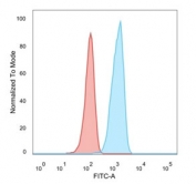 FACS staining of PFA-fixed human HeLa cells with TCF-25 antibody (blue, clone PCRP-TCF25-1A11), and unstained cells (red).