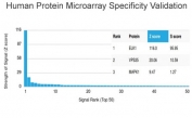 Analysis of HuProt(TM) microarray containing more than 19,000 full-length human proteins using ELK1 antibody (clone PCRP-ELK1-1B9). These results demonstrate the foremost specificity of the PCRP-ELK1-1B9 mAb. Z- and S- score: The Z-score represents the strength of a signal that an antibody (in combination with a fluorescently-tagged anti-IgG secondary Ab) produces when binding to a particular protein on the HuProt(TM) array. Z-scores are described in units of standard deviations (SD's) above the mean value of all signals generated on that array. If the targets on the HuProt(TM) are arranged in descending order of the Z-score, the S-score is the difference (also in units of SD's) between the Z-scores. The S-score therefore represents the relative target specificity of an Ab to its intended target.