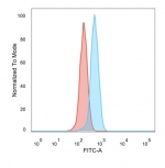 FACS staining of PFA-fixed human HeLa cells with ZBTB7C antibody (blue, clone PCRP-ZBTB7C-4E12) and isotype control (red).
