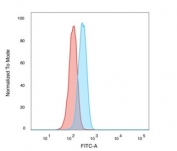 FACS staining of PFA-fixed human K562 cells with POLE3 antibody (blue, clone PCRP-POLE3-2F10) and isotype control (red).