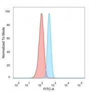 FACS staining of PFA-fixed human HeLa cells with ZFP64 antibody (blue, clone PCRP-ZFP64-1H2), and unstained cells (red).