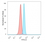 FACS staining of PFA-fixed human HeLa cells with RELA antibody (blue, clone PCRP-RELA-2B6) and isotype control (red).