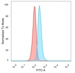 FACS staining of PFA-fixed human HeLa cells with GTF2IRD2 alpha antibody (blue, clone PCRP-GTF2IRD2-1B12), and unstained cells (red).