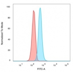 FACS staining of PFA-fixed human HeLa cells with TIF1 alpha antibody (blue, clone PCRP-TRIM24-1B12) and isotype control (red).