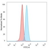 FACS staining of PFA-fixed human Raji cells with ZMYM3 antibody (blue, clone PCRP-ZMYM3-2F10), and unstained cells (red).
