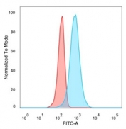 FACS staining of PFA-fixed human U-87 cells with CELF2 antibody (blue) and unstained cells (red).