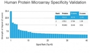 Analysis of HuProt(TM) microarray containing more than 19,000 full-length human proteins using CHRAC17 antibody (clone PCRP-POLE3-3D3). These results demonstrate the foremost specificity of the PCRP-POLE3-3D3 mAb. Z- and S- score: The Z-score represents the strength of a signal that an antibody (in combination with a fluorescently-tagged anti-IgG secondary Ab) produces when binding to a particular protein on the HuProt(TM) array. Z-scores are described in units of standard deviations (SD's) above the mean value of all signals generated on that array. If the targets on the HuProt(TM) are arranged in descending order of the Z-score, the S-score is the difference (also in units of SD's) between the Z-scores. The S-score therefore represents the relative target specificity of an Ab to its intended target.