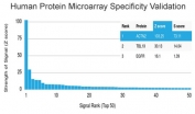 Analysis of HuProt(TM) microarray containing more than 19,000 full-length human proteins using recombinant ACTN2 antibody (clone ACTN2/7039R). These results demonstrate the foremost specificity of the ACTN2/7039R mAb. Z- and S- score: The Z-score represents the strength of a signal that an antibody (in combination with a fluorescently-tagged anti-IgG secondary Ab) produces when binding to a particular protein on the HuProt(TM) array. Z-scores are described in units of standard deviations (SD's) above the mean value of all signals generated on that array. If the targets on the HuProt(TM) are arranged in descending order of the Z-score, the S-score is the difference (also in units of SD's) between the Z-scores. The S-score therefore represents the relative target specificity of an Ab to its intended target.