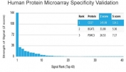Analysis of HuProt(TM) microarray containing more than 19,000 full-length human proteins using CD27 antibody (clone LPFS2/4176). These results demonstrate the foremost specificity of the LPFS2/4176 mAb. Z- and S- score: The Z-score represents the strength of a signal that an antibody (in combination with a fluorescently-tagged anti-IgG secondary Ab) produces when binding to a particular protein on the HuProt(TM) array. Z-scores are described in units of standard deviations (SD's) above the mean value of all signals generated on that array. If the targets on the HuProt(TM) are arranged in descending order of the Z-score, the S-score is the difference (also in units of SD's) between the Z-scores. The S-score therefore represents the relative target specificity of an Ab to its intended target.