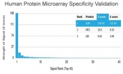 Analysis of HuProt(TM) microarray containing more than 19,000 full-length human proteins using Alpha-2-M antibody (clone A2M/3622). These results demonstrate the foremost specificity of the A2M/3622 mAb. Z- and S- score: The Z-score represents the strength of a signal that an antibody (in combination with a fluorescently-tagged anti-IgG secondary Ab) produces when binding to a particular protein on the HuProt(TM) array. Z-scores are described in units of standard deviations (SD's) above the mean value of all signals generated on that array. If the targets on the HuProt(TM) are arranged in descending order of the Z-score, the S-score is the difference (also in units of SD's) between the Z-scores. The S-score therefore represents the relative target specificity of an Ab to its intended target.