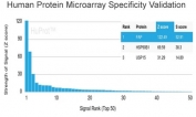Analysis of HuProt(TM) microarray containing more than 19,000 full-length human proteins using FAP antibody (clone FAP/4854). These results demonstrate the foremost specificity of the FAP/4854 mAb. Z- and S- score: The Z-score represents the strength of a signal that an antibody (in combination with a fluorescently-tagged anti-IgG secondary Ab) produces when binding to a particular protein on the HuProt(TM) array. Z-scores are described in units of standard deviations (SD's) above the mean value of all signals generated on that array. If the targets on the HuProt(TM) are arranged in descending order of the Z-score, the S-score is the difference (also in units of SD's) between the Z-scores. The S-score therefore represents the relative target specificity of an Ab to its intended target.