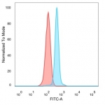 FACS staining of PFA-fixed human HeLa cells with HDAC6 antibody (blue, clone PCRP-HDAC6-1A4) and unstained cells (red).