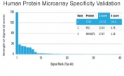 Analysis of HuProt(TM) microarray containing more than 19,000 full-length human proteins using CTSD antibody (clone CTSD/4497). These results demonstrate the foremost specificity of the CTSD/4497 mAb. Z- and S- score: The Z-score represents the strength of a signal that an antibody (in combination with a fluorescently-tagged anti-IgG secondary Ab) produces when binding to a particular protein on the HuProt(TM) array. Z-scores are described in units of standard deviations (SD's) above the mean value of all signals generated on that array. If the targets on the HuProt(TM) are arranged in descending order of the Z-score, the S-score is the difference (also in units of SD's) between the Z-scores. The S-score therefore represents the relative target specificity of an Ab to its intended target.