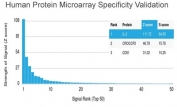 Analysis of HuProt(TM) microarray containing more than 19,000 full-length human proteins using IL-2 antibody (clone IL2/3949). These results demonstrate the foremost specificity of the IL2/3949 mAb. Z- and S- score: The Z-score represents the strength of a signal that an antibody (in combination with a fluorescently-tagged anti-IgG secondary Ab) produces when binding to a particular protein on the HuProt(TM) array. Z-scores are described in units of standard deviations (SD's) above the mean value of all signals generated on that array. If the targets on the HuProt(TM) are arranged in descending order of the Z-score, the S-score is the difference (also in units of SD's) between the Z-scores. The S-score therefore represents the relative target specificity of an Ab to its intended target.
