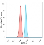 FACS staining of PFA-fixed human HeLa cells with ZNF81 antibody (blue, clone PCRP-ZNF81-2C7) and isotype control (red).