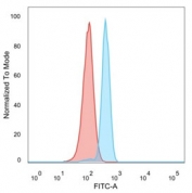FACS staining of PFA-fixed human HeLa cells with KLF17 antibody (blue, clone PCRP-KLF17-1G2), and unstained cells (red).