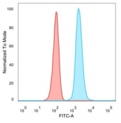 FACS staining of PFA-fixed human HeLa cells with ZNF358 antibody (blue, clone PCRP-ZNF358-1A6), and unstained cells (red).