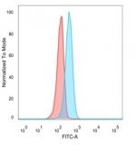 FACS staining of PFA-fixed human U-87 MG cells with ATF2 antibody (blue, clone PCRP-ATF2-1B4), and unstained cells (red).