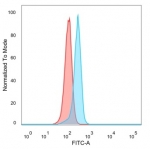 FACS staining of PFA-fixed human HeLa cells with ATF2 antibody (blue, clone PCRP-ATF2-1B4), and unstained cells (red).