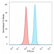 FACS staining of PFA-fixed human HeLa cells with SIRT3 antibody (blue, clone PCRP-SIRT3-1C10) and isotype control (red).