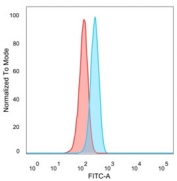 FACS staining of PFA-fixed human HeLa cells with GTF2A1 antibody (blue, clone PCRP-GTF2A1-1F2) and isotype control (red).