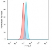 FACS staining of PFA-fixed human HeLa cells with NFIA antibody (blue, clone PCRP-NFIA-2C6) and isotype control (red).