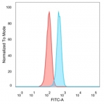 FACS staining of PFA-fixed human HeLa cells with Neurogenin 3 antibody (blue, clone PCRP-NEUROG3-1E10) and isotype control (red).