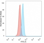 FACS staining of PFA-fixed human HeLa cells with PRMT7 antibody (blue, clone PCRP-PRMT7-1A4), and unstained cells (red).