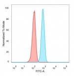 FACS staining of PFA-fixed human HeLa cells with B-cell lymphoma/leukemia 11A antibody (blue, clone PCRP-BCL11A-1H3) and isotype control (red).