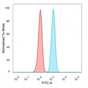 FACS staining of PFA-fixed human HeLa cells with ZNF562 antibody (blue, clone PCRP-ZNF562-1A1), and unstained cells (red).