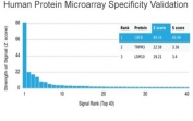 Analysis of HuProt(TM) microarray containing more than 19,000 full-length human proteins using CBF beta antibody (clone PCRP-CBFB-1E6). These results demonstrate the foremost specificity of the PCRP-CBFB-1E6 mAb. Z- and S- score: The Z-score represents the strength of a signal that an antibody (in combination with a fluorescently-tagged anti-IgG secondary Ab) produces when binding to a particular protein on the HuProt(TM) array. Z-scores are described in units of standard deviations (SD's) above the mean value of all signals generated on that array. If the targets on the HuProt(TM) are arranged in descending order of the Z-score, the S-score is the difference (also in units of SD's) between the Z-scores. The S-score therefore represents the relative target specificity of an Ab to its intended target.