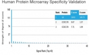 Analysis of HuProt(TM) microarray containing more than 19,000 full-length human proteins using IL-6 antibody (clone IL6/4641). These results demonstrate the foremost specificity of the IL6/4641 mAb. Z- and S- score: The Z-score represents the strength of a signal that an antibody (in combination with a fluorescently-tagged anti-IgG secondary Ab) produces when binding to a particular protein on the HuProt(TM) array. Z-scores are described in units of standard deviations (SD's) above the mean value of all signals generated on that array. If the targets on the HuProt(TM) are arranged in descending order of the Z-score, the S-score is the difference (also in units of SD's) between the Z-scores. The S-score therefore represents the relative target specificity of an Ab to its intended target.