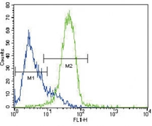 GATA4 antibody flow cytometric analysis of HepG2 cells (green) compared to a <a href=../search_result.php?search_txt=n1001>negative control</a> (blue). FITC-conjugated goat-anti-rabbit secondary Ab was used for the analysis.