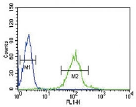 IRF8 antibody flow cytometric analysis of HL-60 cells (green) compared to a <a href=../search_result.php?search_txt=n1001>negative control</a> (blue). FITC-conjugated goat-anti-rabbit secondary Ab was used for the analysis.