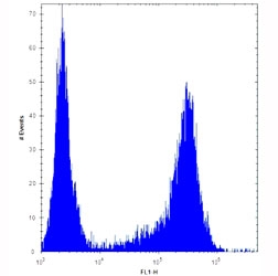 HES1 antibody flow cytometric analysis of U251 cells (right histogram) compared to a negative control (left histogram). FITC-conjugated goat-anti-rabbit secondary Ab was used for the analysis.