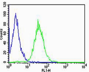 Flow cytometric analysis of Raji cells using CD74 antibody (green) and an isotype control of mouse IgG2b (blue); Ab was diluted at 1:25 dilution.