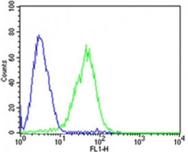 Flow cytometric analysis of HepG2 cells using Dlk1 antibody (green) compared to an isotype control of mouse IgG2b (blue); Ab was diluted at 1:25 dilution. An Alexa Fluor 488 goat anti-mouse lgG was used as the secondary Ab.
