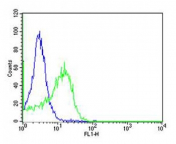 Flow cytometric analysis of HT-29 cells using anti-CD34 antibody (green) compared to an isotype control of rabbit IgG (blue). Ab was diluted at 1:25 dilution. An Alexa Fluor 488 goat anti-rabbit lgG was used as the secondary Ab.