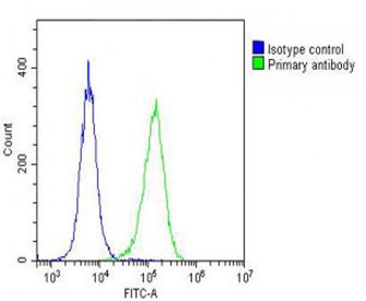 Flow cytometry testing of fixed and permeabilized human HeLa cells with DEPDC5 antibody; Blue=isotype control, Green= DEPDC5 antibody.