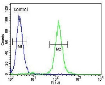 Flow cytometry testing of fixed and permeabilized human HEK293 cells with KMT5C antibody; Blue=isotype control, Green= KMT5C antibody.