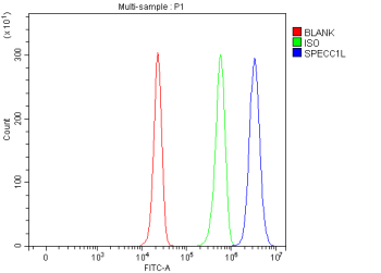 Flow Cytometry analysis of HepG2 cells using anti-SPECC1L antibody. Overlay histogram showing HepG2 cells stained with (Blue line). To facilitate intracellular staining, cells were fixed with 4% paraformaldehyde and permeabilized with permeabilization buffer. The cells were blocked with 10% normal goat serum. And then incubated with rabbit anti-SPECC1L antibody (1 ug/million cells) for 30 min at 20oC. DyLight 488 conjugated goat anti-rabbit IgG (5-10 ug/million cells) was used as secondary antibody for 30 minutes at 20oC. Isotype control antibody (Green line) was rabbit IgG (1 ug/million cells) used under the same conditions. Unlabelled sample without incubation with primary antibody and secondary antibody (Red line) was used as a blank control.