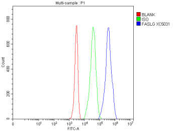 Flow Cytometry analysis of Jurkat cells using anti-FASLG antibody. Overlay histogram showing Jurkat cells stained with (Blue line). The cells were fixed with 4% paraformaldehyde and blocked with 10% normal goat serum. And then incubated with rabbit anti-FASLG antibody (1 ug/million cells) for 30 min at 20oC. DyLight 488 conjugated goat anti-rabbit IgG (5-10 ug/million cells) was used as secondary antibody for 30 minutes at 20oC. Isotype control antibody (Green line) was rabbit IgG (1 ug/million cells) used under the same conditions. Unlabelled sample without incubation with primary antibody and secondary antibody (Red line) was used as a blank control.