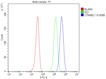 Flow Cytometry analysis of HEL cells using anti-CTNNBL1 antibody. Overlay histogram showing HEL cells stained with (Blue line). To facilitate intracellular staining, cells were fixed with 4% paraformaldehyde and permeabilized with permeabilization buffer. The cells were blocked with 10% normal goat serum. And then incubated with rabbit anti-CTNNBL1 antibody (1 ug/million cells) for 30 min at 20oC. DyLight 488 conjugated goat anti-rabbit IgG (5-10 ug/million cells) was used as secondary antibody for 30 minutes at 20oC. Isotype control antibody (Green line) was rabbit IgG (1 ug/million cells) used under the same conditions. Unlabelled sample without incubation with primary antibody and secondary antibody (Red line) was used as a blank control.