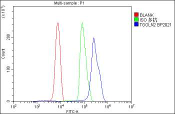 Flow Cytometry analysis of U937 cells using anti-TGOLN2 antibody. Overlay histogram showing U937 cells stained with (Blue line). To facilitate intracellular staining, cells were fixed with 4% paraformaldehyde and permeabilized with permeabilization buffer. The cells were blocked with 10% normal goat serum. And then incubated with rabbit anti-TGOLN2 antibody (1 ug/million cells) for 30 min at 20oC. DyLight 488 conjugated goat anti-rabbit IgG (5-10 ug/million cells) was used as secondary antibody for 30 minutes at 20oC. Isotype control antibody (Green line) was rabbit IgG (1 ug/million cells) used under the same conditions. Unlabelled sample without incubation with primary antibody and secondary antibody (Red line) was used as a blank control.