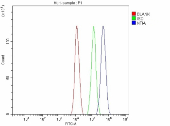Flow Cytometry analysis of JK cells using anti-NFIA antibody. Overlay histogram showing JK cells stained with (Blue line). To facilitate intracellular staining, cells were fixed with 4% paraformaldehyde and permeabilized with permeabilization buffer. The cells were blocked with 10% normal goat serum. And then incubated with rabbit anti-NFIA antibody (1 ug/million cells) for 30 min at 20oC. DyLight 488 conjugated goat anti-rabbit IgG (5-10 ug/million cells) was used as secondary antibody for 30 minutes at 20oC. Isotype control antibody (Green line) was rabbit IgG (1 ug/million cells) used under the same conditions. Unlabelled sample without incubation with primary antibody and secondary antibody (Red line) was used as a blank control.