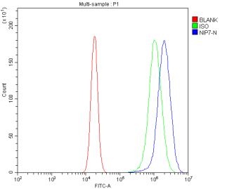 Flow Cytometry analysis of 293T cells using anti-NIP7 antibody. Overlay histogram showing 293T cells stained with (Blue line). To facilitate intracellular staining, cells were fixed with 4% paraformaldehyde and permeabilized with permeabilization buffer. The cells were blocked with 10% normal goat serum. And then incubated with rabbit anti-NIP7 antibody (1 ug/million cells) for 30 min at 20oC. DyLight 488 conjugated goat anti-rabbit IgG (5-10 ug/million cells) was used as secondary antibody for 30 minutes at 20oC. Isotype control antibody (Green line) was rabbit IgG (1 ug/million cells) used under the same conditions. Unlabelled sample (Red line) was also used as a control.