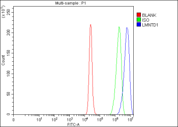 Flow Cytometry analysis of RT4 cells using anti-LMNTD1 antibody. Overlay histogram showing RT4 cells stained with (Blue line). To facilitate intracellular staining, cells were fixed with 4% paraformaldehyde and permeabilized with permeabilization buffer. The cells were blocked with 10% normal goat serum. And then incubated with rabbit anti-LMNTD1 antibody (1 ug/million cells) for 30 min at 20oC. DyLight 488 conjugated goat anti-rabbit IgG (5-10 ug/million cells) was used as secondary antibody for 30 minutes at 20oC. Isotype control antibody (Green line) was rabbit IgG (1 ug/million cells) used under the same conditions. Unlabelled sample (Red line) was also used as a control.