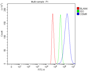 Flow Cytometry analysis of C2C12 cells using anti-Osmr antibody. Overlay histogram showing C2C12 cells stained with (Blue line). The cells were fixed with 4% paraformaldehyde and blocked with 10% normal goat serum. And then incubated with rabbit anti-Osmr antibody (1 ug/million cells) for 30 min at 20oC. DyLight 488 conjugated goat anti-rabbit IgG (5-10 ug/million cells) was used as secondary antibody for 30 minutes at 20oC. Isotype control antibody (Green line) was rabbit IgG (1 ug/million cells) used under the same conditions. Unlabelled sample (Red line) was also used as a control.